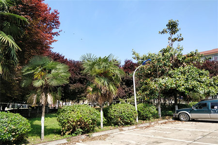 泰安市泰山区惠丰园2室2厅1卫72万85m2出售